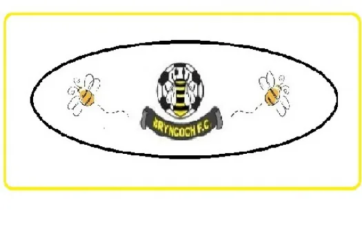 Petition to West Wales FA to allow Bryncoch FC to play matches at Bae Baglan School.