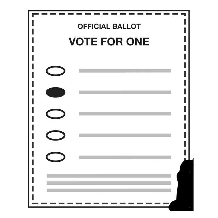 Help me win a spot on the Ballot