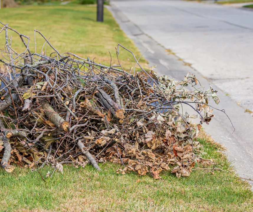 Yard Waste Dump In Your Neighborhood?