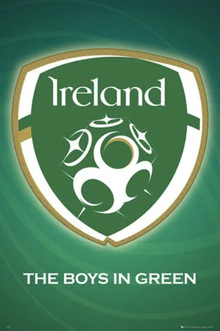Thank you to the Irish Team