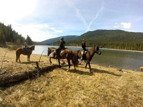 Slocan Valley Rails to Trails STOP restricting Horse Use