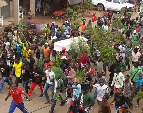 Liberating Cameroon with LOVE