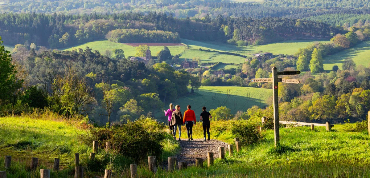 Protect Green Belt Land in and around Beare Green