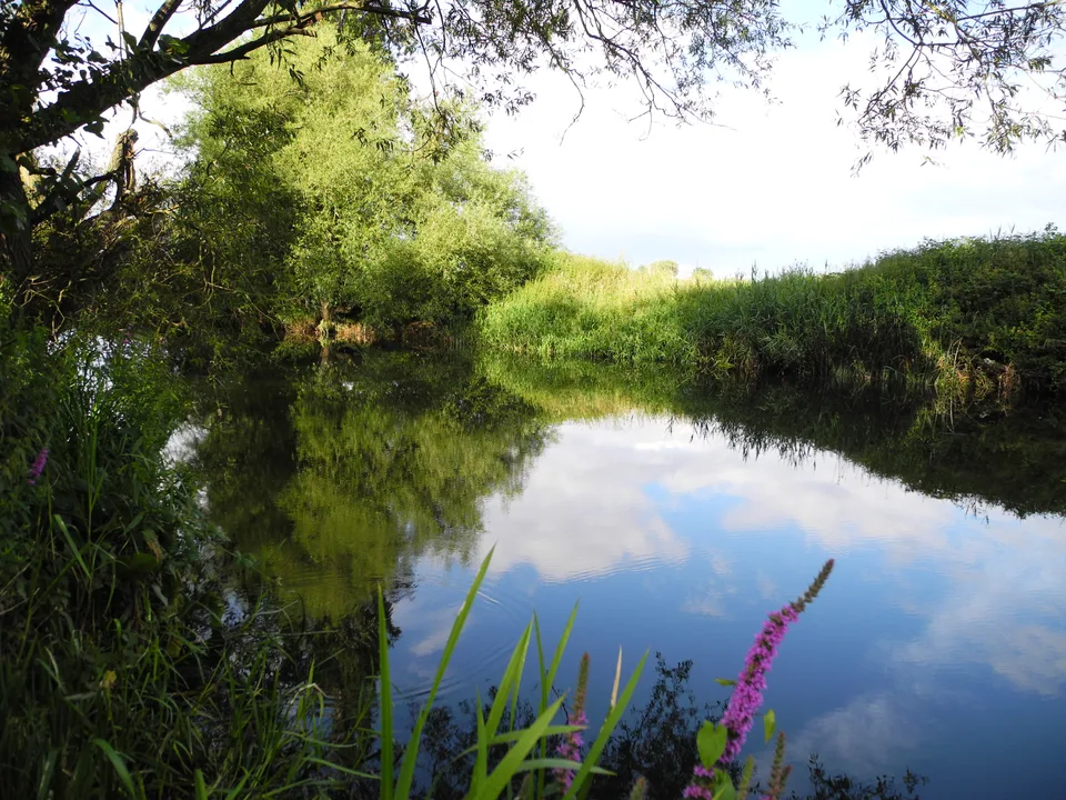 Kayak portage in the Grange Estate, Willington