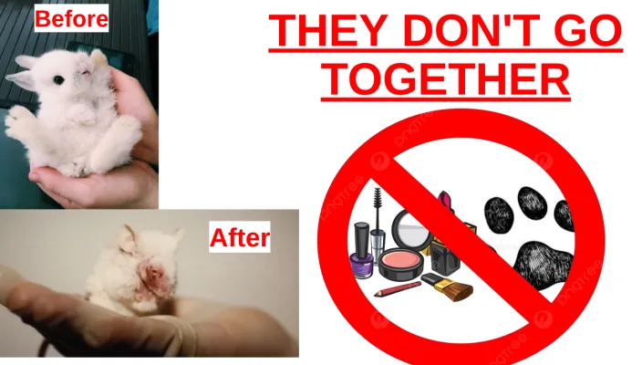 Banning Cosmetic Testing on Animals