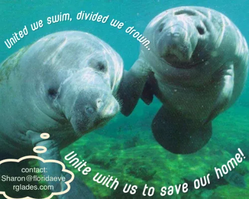 Save the Everglades