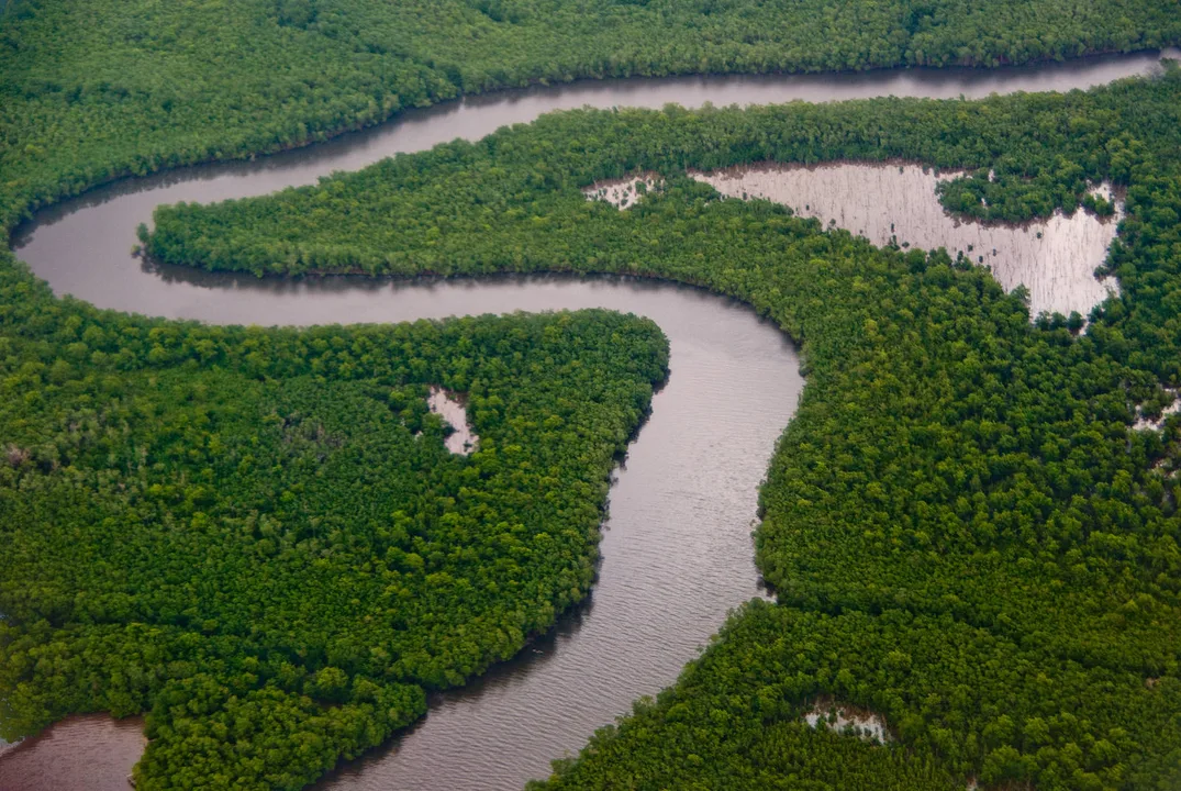Petition to Protect Chaguaramas
