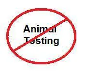 Anti-Animal Testing