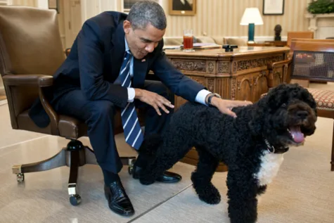 4 More Years Obama!
