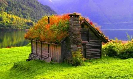 Green Gang's Green Roofs