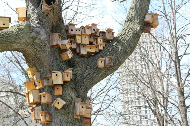 Save the Baxter Birdhouses