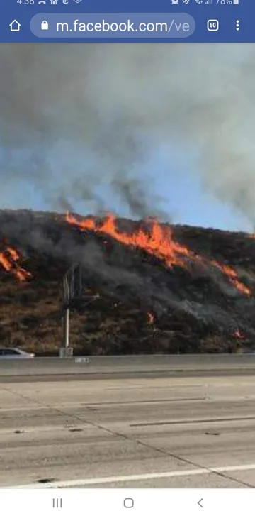 Fire Prevention - PETITION To Increase Brush Clearance
