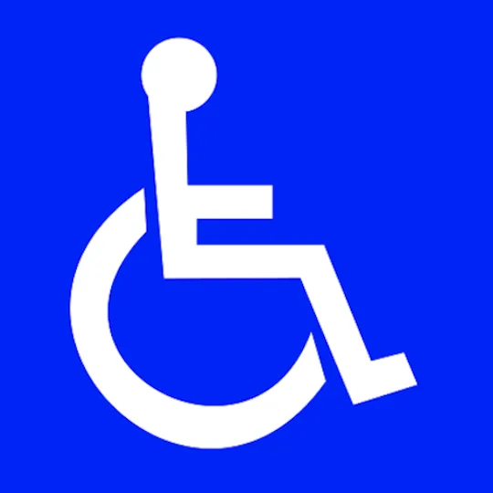 Only a qualified disabled person as Disabilities Commissioner for Odisha