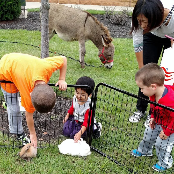 U.K. national curriculum to include contact with animals.