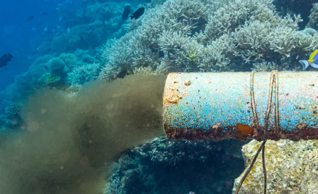 Ending Miami's Sewage Dumping