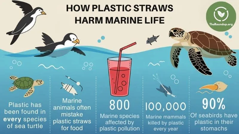 Ban Straws in Michigan!
