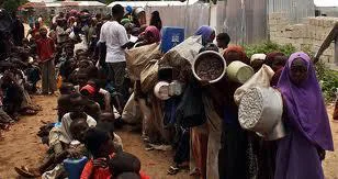 Corruption, inefficiency and ineffectiveness of Somali Mission in RSA