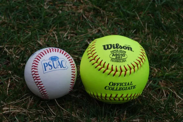 Shouldn't pro softball players get paid as much as mlb players ? 