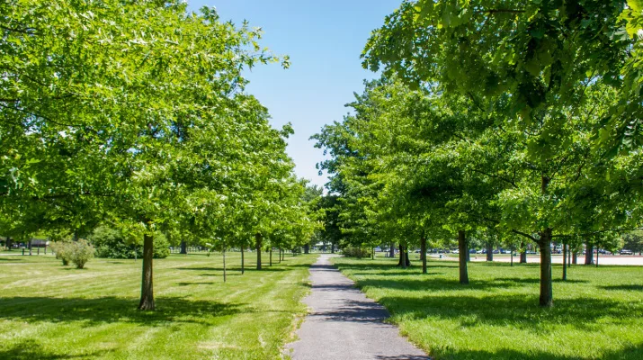 Annual Tree Planting Day