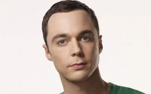 GET SHELDON TO PUT DOWN THE BULLIES