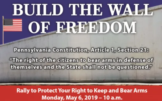 2019 Pennsylvania Right To Keep And Bear Arms Petition