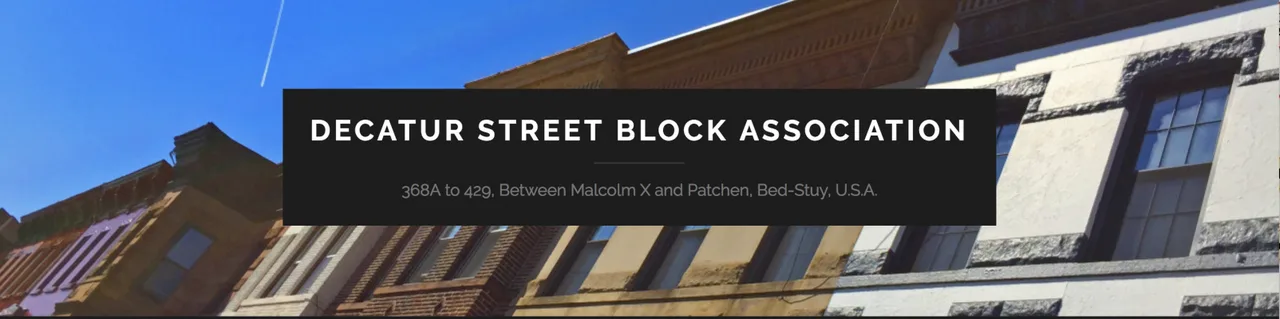 PETITION: Speed Bumps on Decatur Street (between Malcolm X & Patchen Ave.)