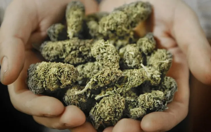 Legalize Recreational Marijuana in Michigan