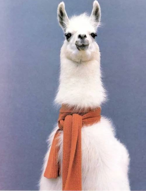 Add llama Emoji!