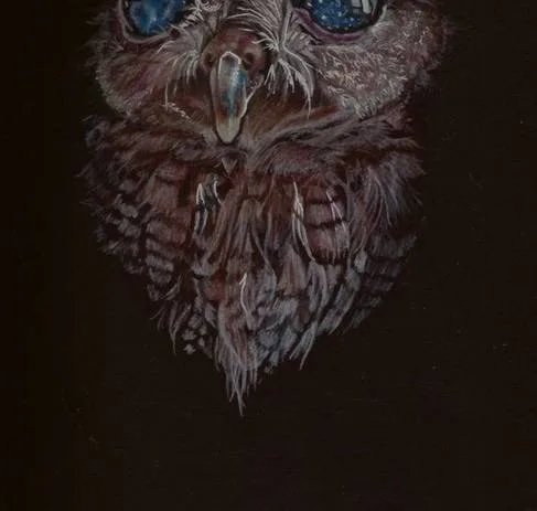 Owls deserve birthdays too.