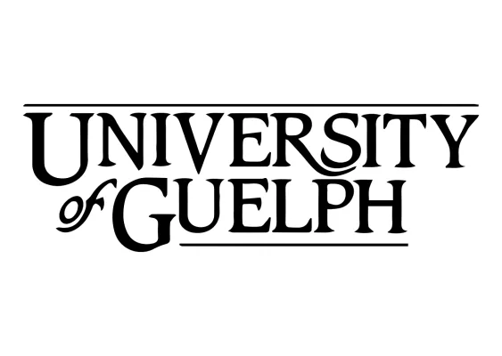 A new professor to be appointed to CIS*3110