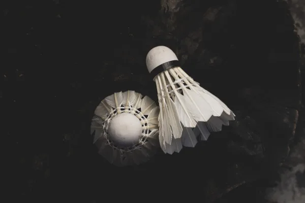 Show your support for the VRC Badminton Program