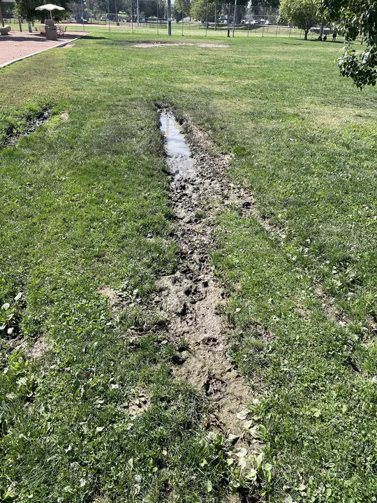 Move the Clemson City Dog Park