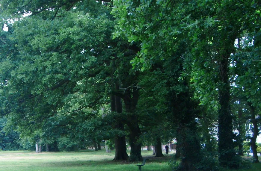 A play area for Freemantle Common