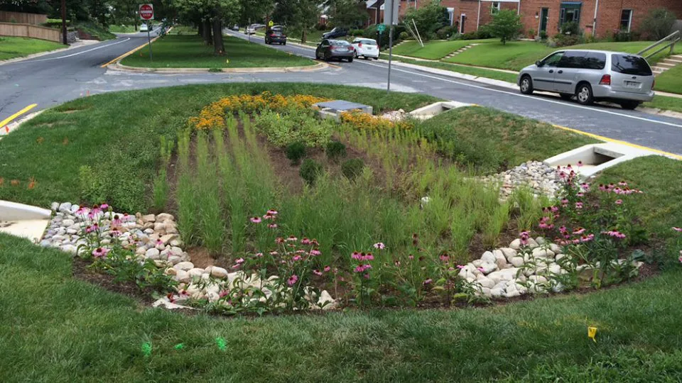 Petition Hoboken City Council to pass a Stormwater Management Incentive Program
