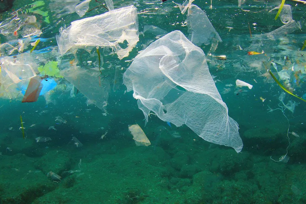 End Plastic Bag Use