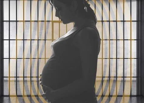 Prison Nursery Programs for Arizona Proposal