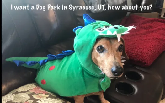 Support a Dog Park in Syracuse Utah