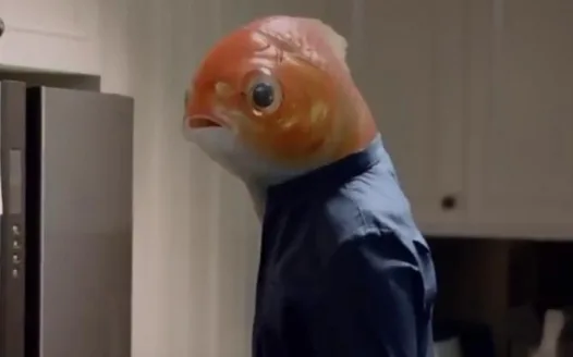 Befriend the fish people of Atlantis