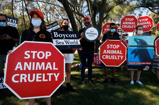 I REFUSE TO TRAVEL TO TURKEY UNTIL THE ANIMAL MASSACRE STOPS!!!!