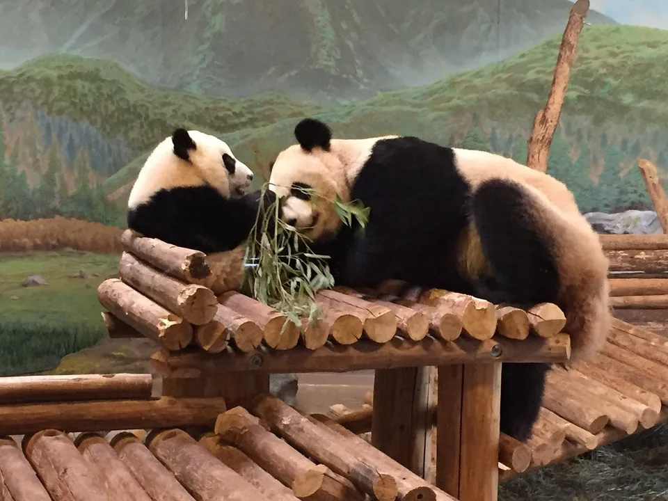 RESTORE FUNDING TO THE HIGH PARK ZOO
