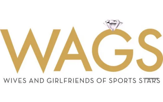 Bring WAGs Back To TV