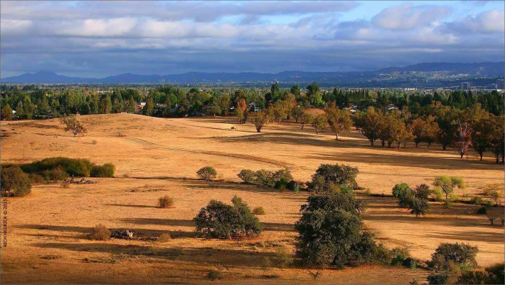 PETITION IN OPPOSITION TO PROPOSED CHANGES TO OUR COMMUNITY PLAN.  PLUS, OUR PROPOSED NEW NEIGHBORHOOD COUNCIL BOUNDARIES