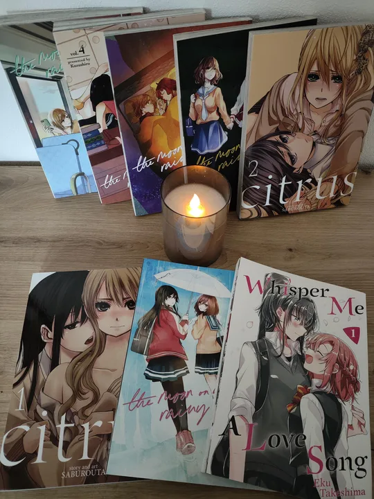 Protesto: Kannazuki no Miko no Brasil