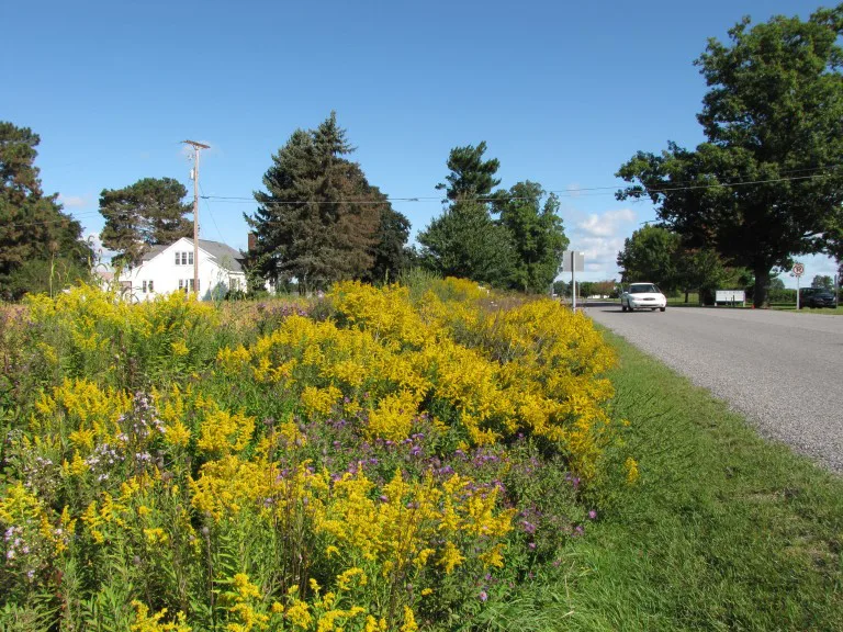 Protect valuable wildlife habitats in Peterborough