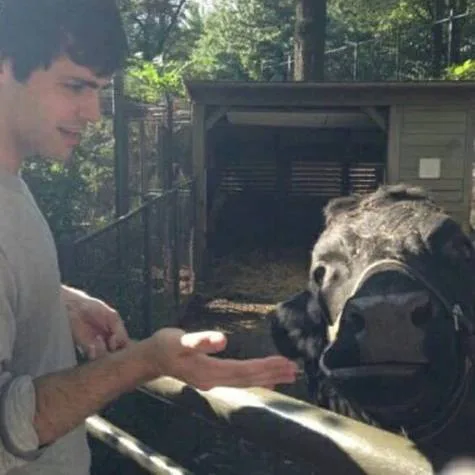 GIVE MATTHEW DADDARIO A COW FARM