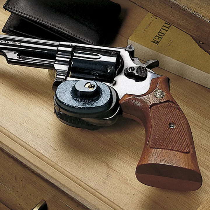New York Artists for Draconian Gun Control Laws