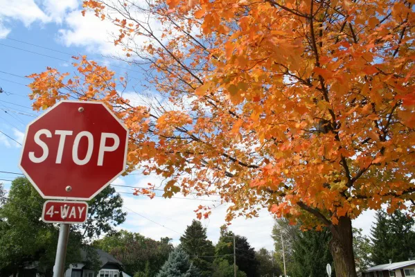 Mandate Stop Signs at Schools and Parks