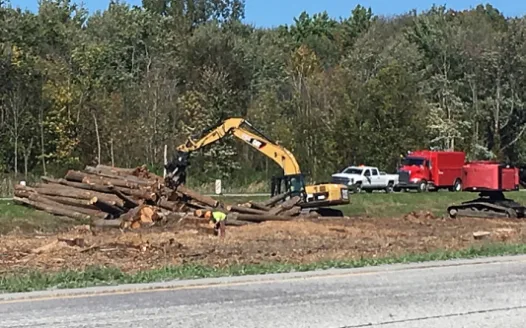 Cease PennDOT’s Clearcut - REPLANT WITH THE GRANT