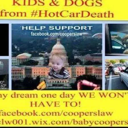 END #HOTCAR DEATH OF KIDS & ANIMALS WITH BABY COOPER'S LAW