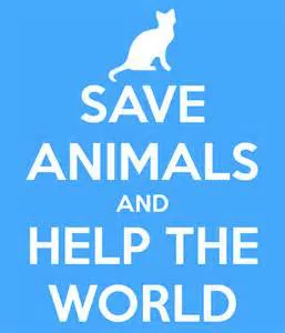 Stop Factory Farms!